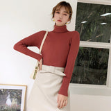 Long Sleeve High Neck Knitted  Slim Sweaters