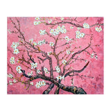 Lenços de cashmere em flor de amêndoa